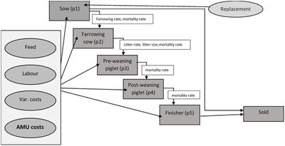 An economic assessment of alternative antimicrobial use scenarios on pig farms